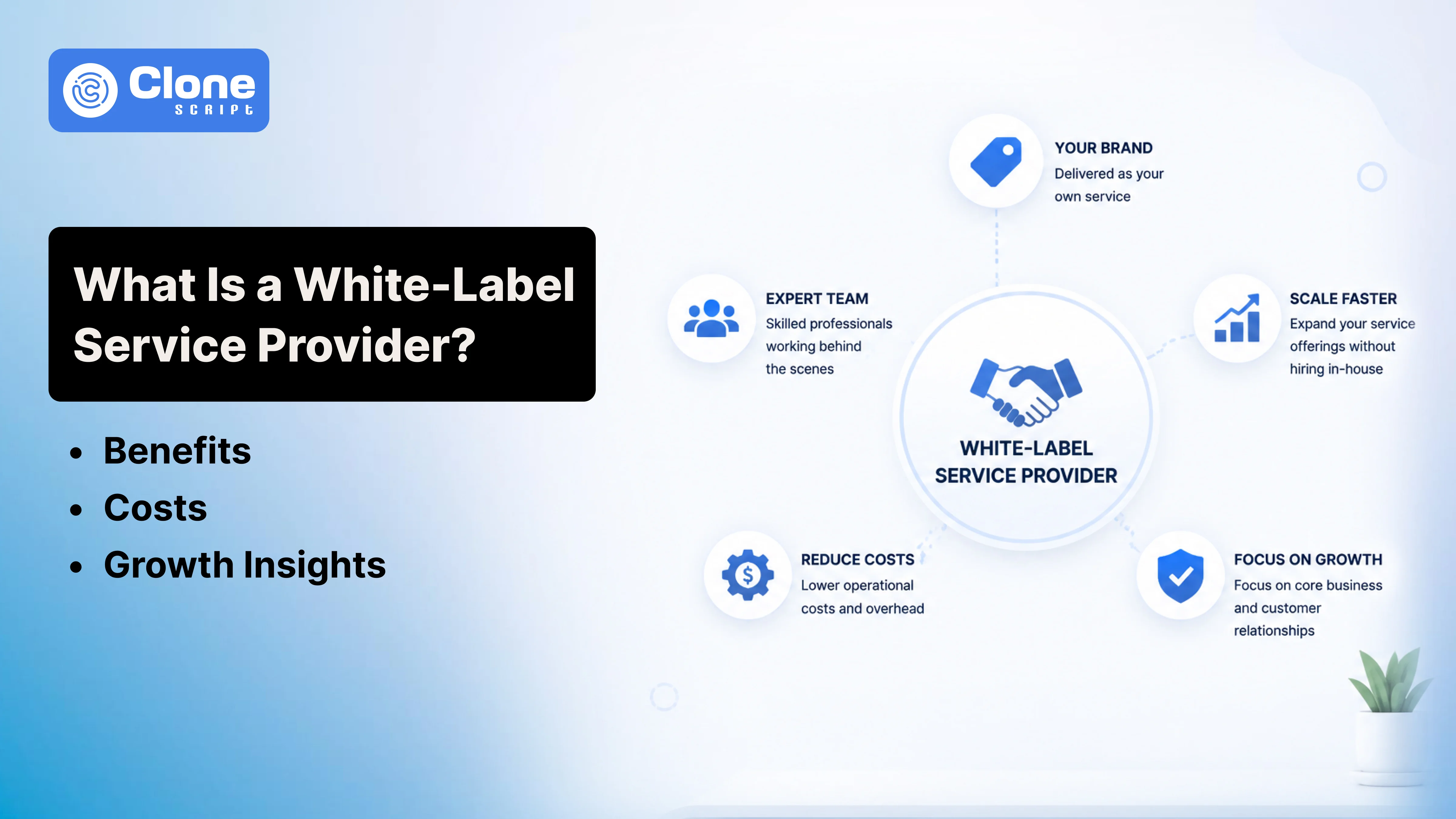 What Is a White-Label Service Provider? Explore a Way to Manage Business